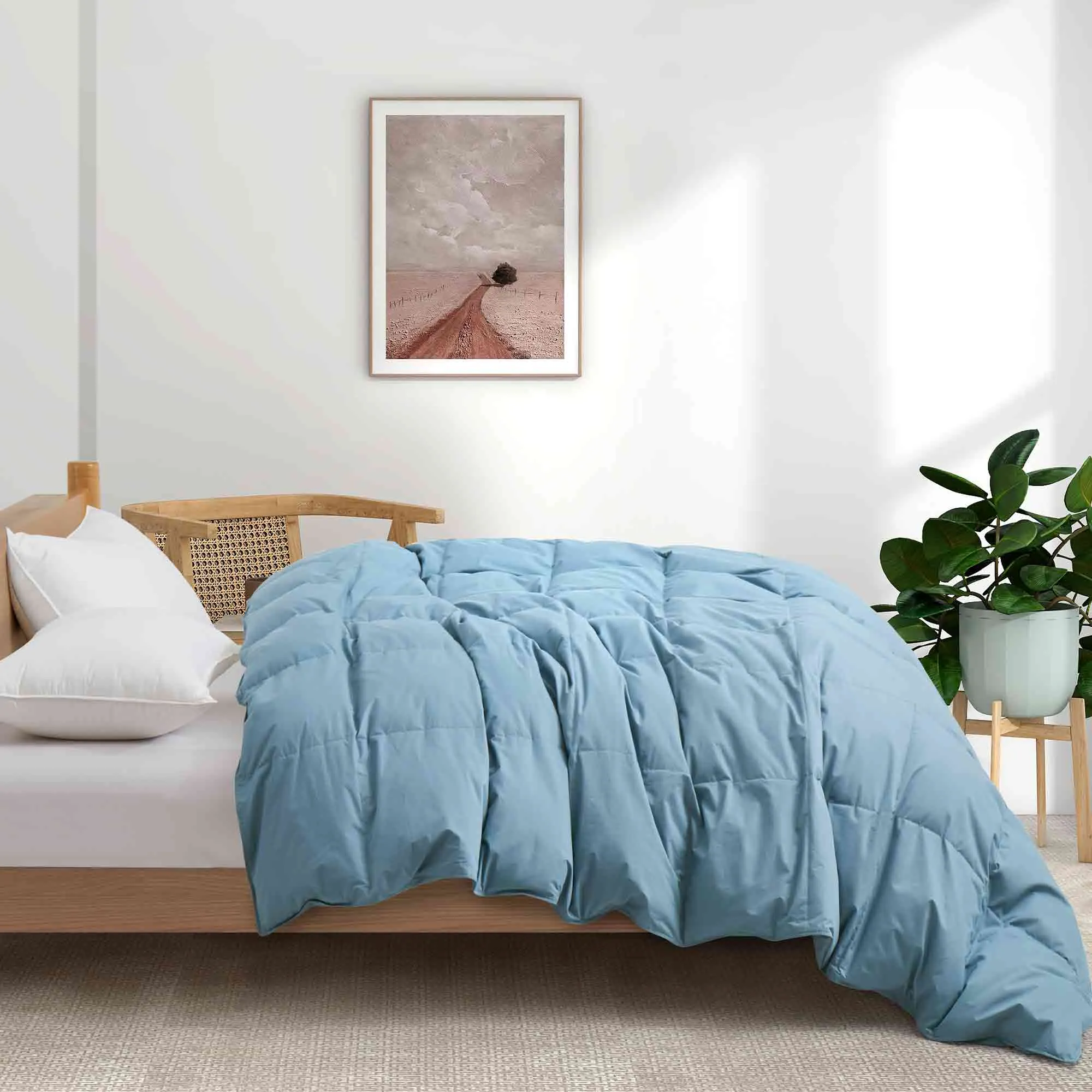 All Season Organic Cotton Comforter Filled with Down and Feather Fiber