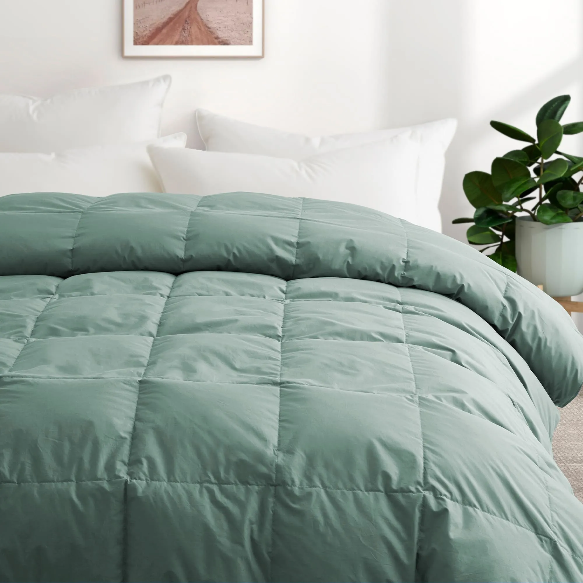 All Season Organic Cotton Comforter Filled with Down and Feather Fiber