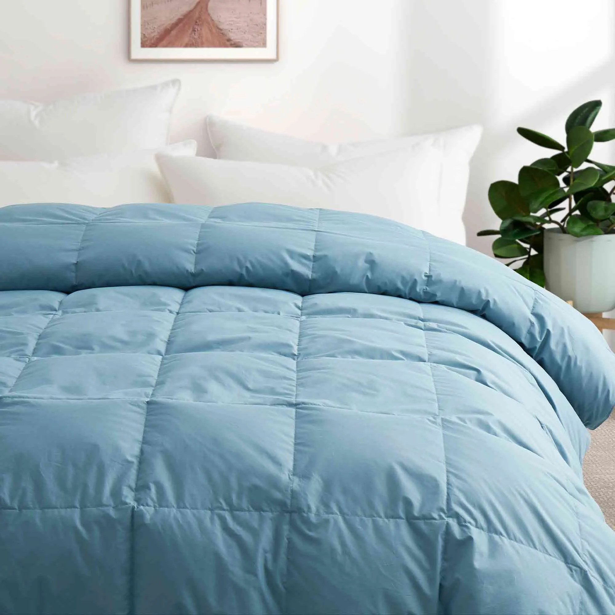 All Season Organic Cotton Comforter Filled with Down and Feather Fiber