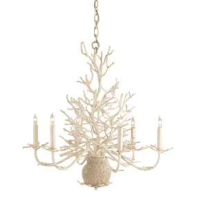 Antique White Coral Small 6-Light Chandelier