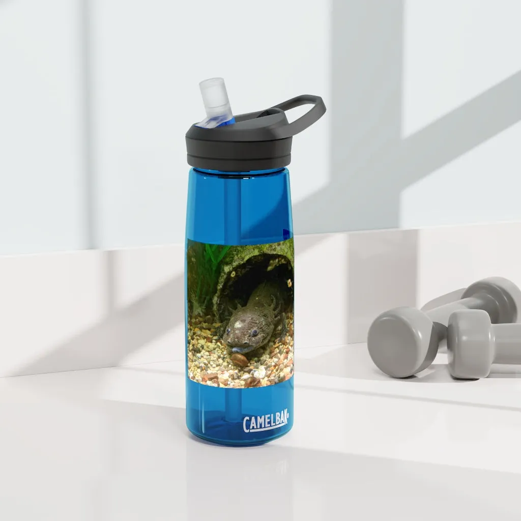 Axoltl CamelBak Eddy®  Water Bottle, 20oz / 25oz