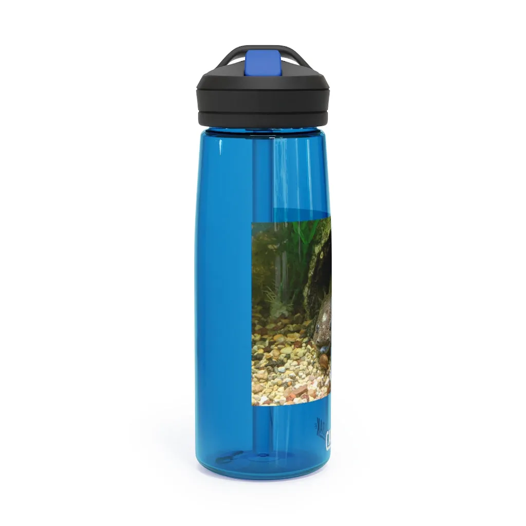 Axoltl CamelBak Eddy®  Water Bottle, 20oz / 25oz