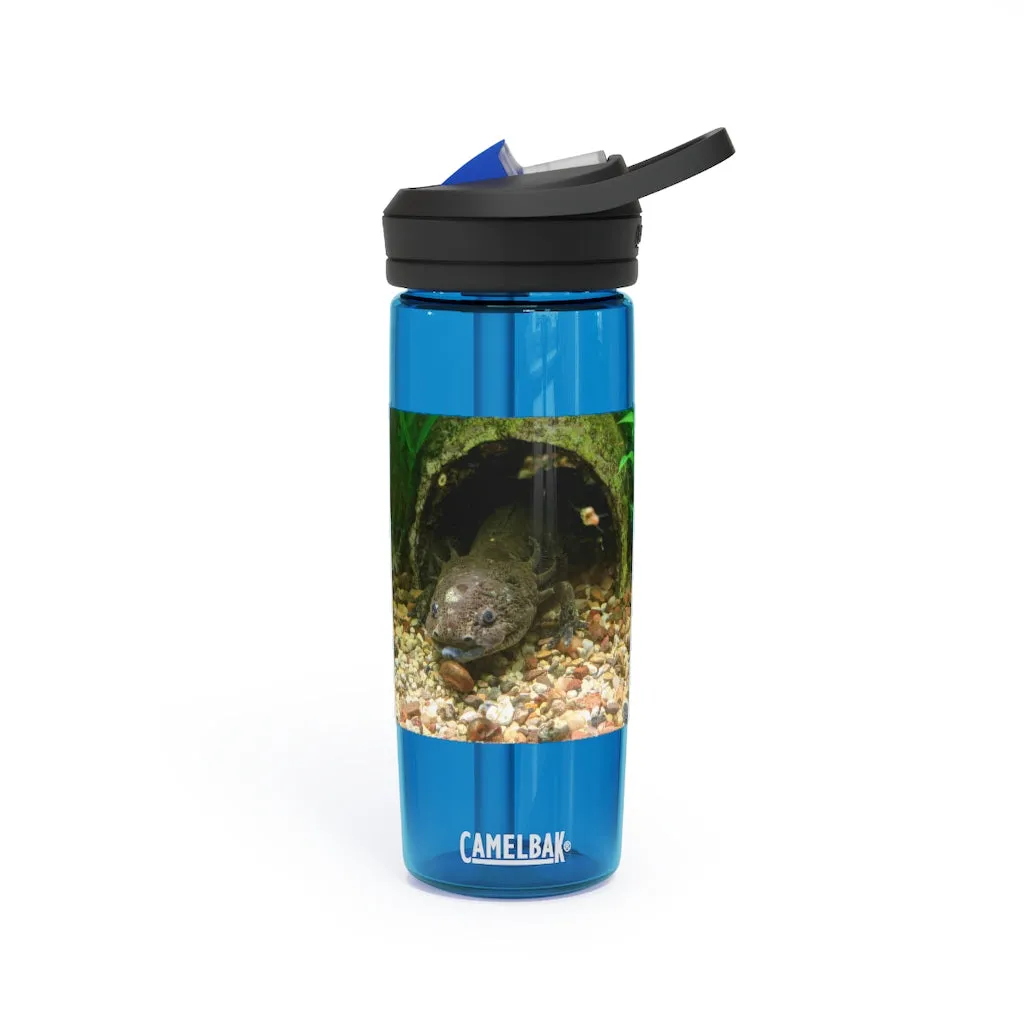 Axoltl CamelBak Eddy®  Water Bottle, 20oz / 25oz