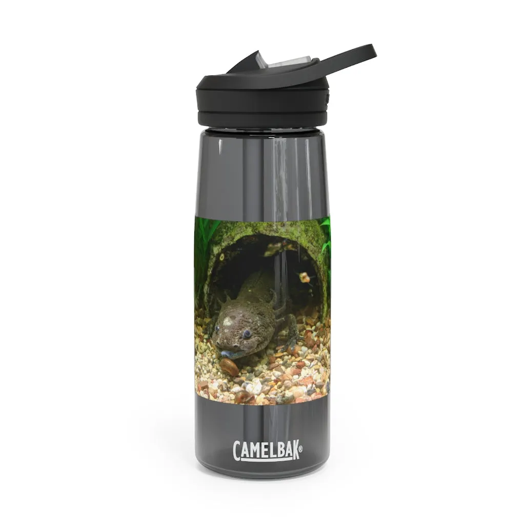 Axoltl CamelBak Eddy®  Water Bottle, 20oz / 25oz