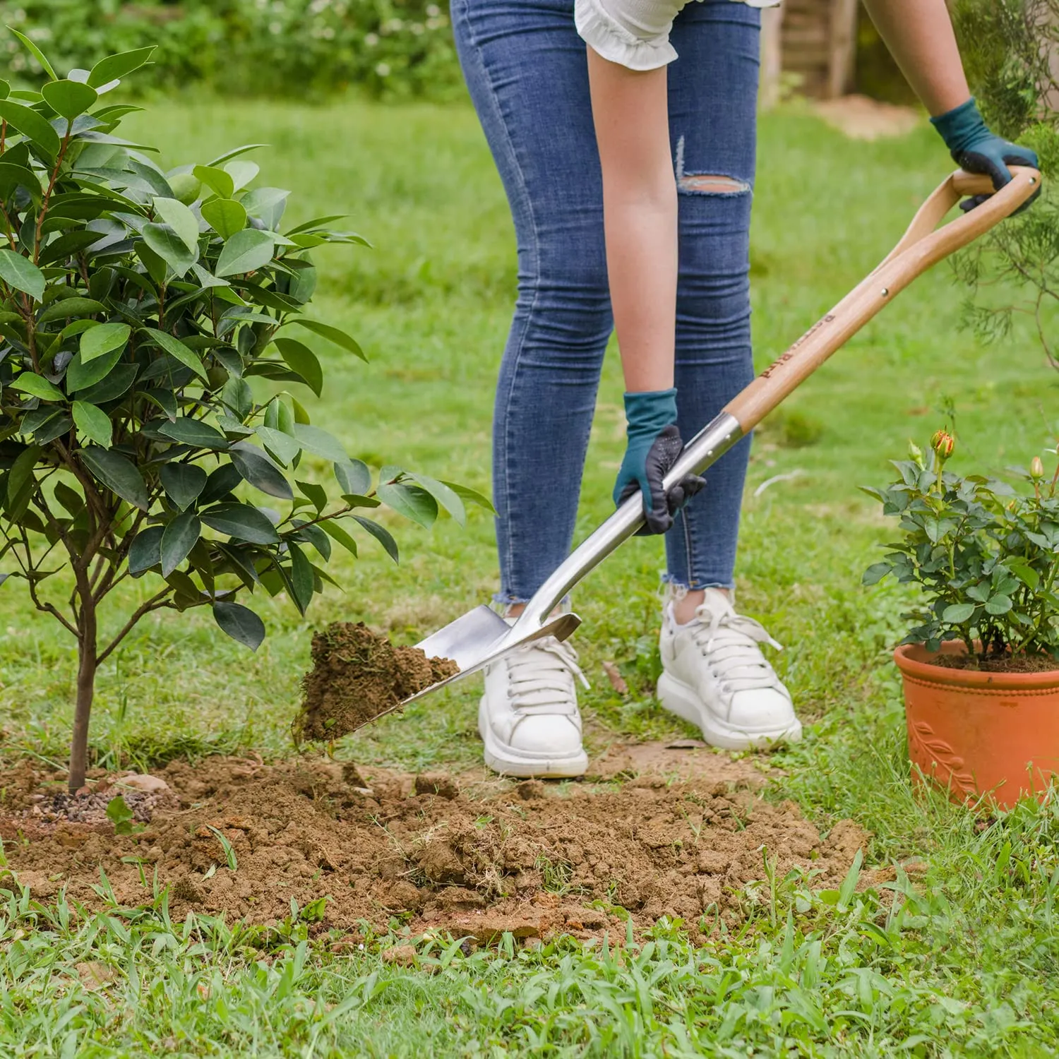 Garden Tools Planting Spade 42.5 inch Stainless Steel Trenching Shovel with D-Grip Handle