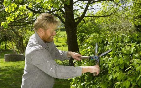 Gardena Hedge Clippers Naturecut