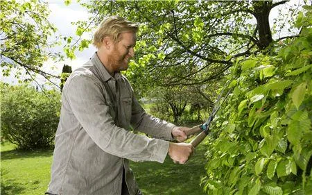 Gardena Hedge Clippers Naturecut