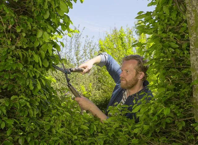 Gardena Hedge Clippers Naturecut