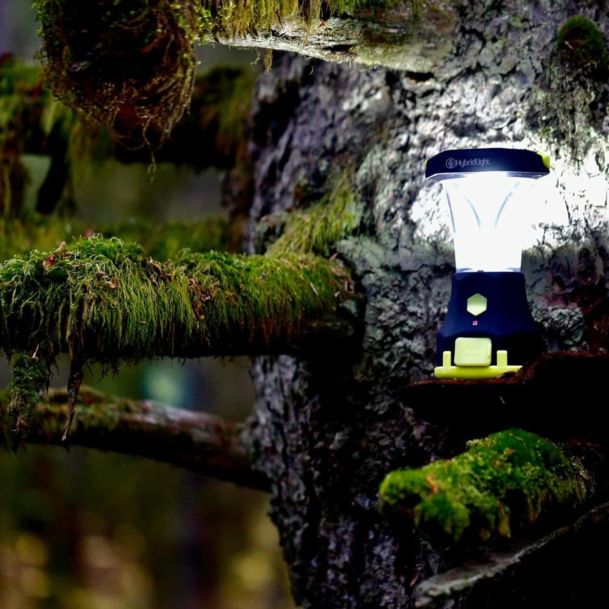 Hybridlight Atlas 600 Lantern