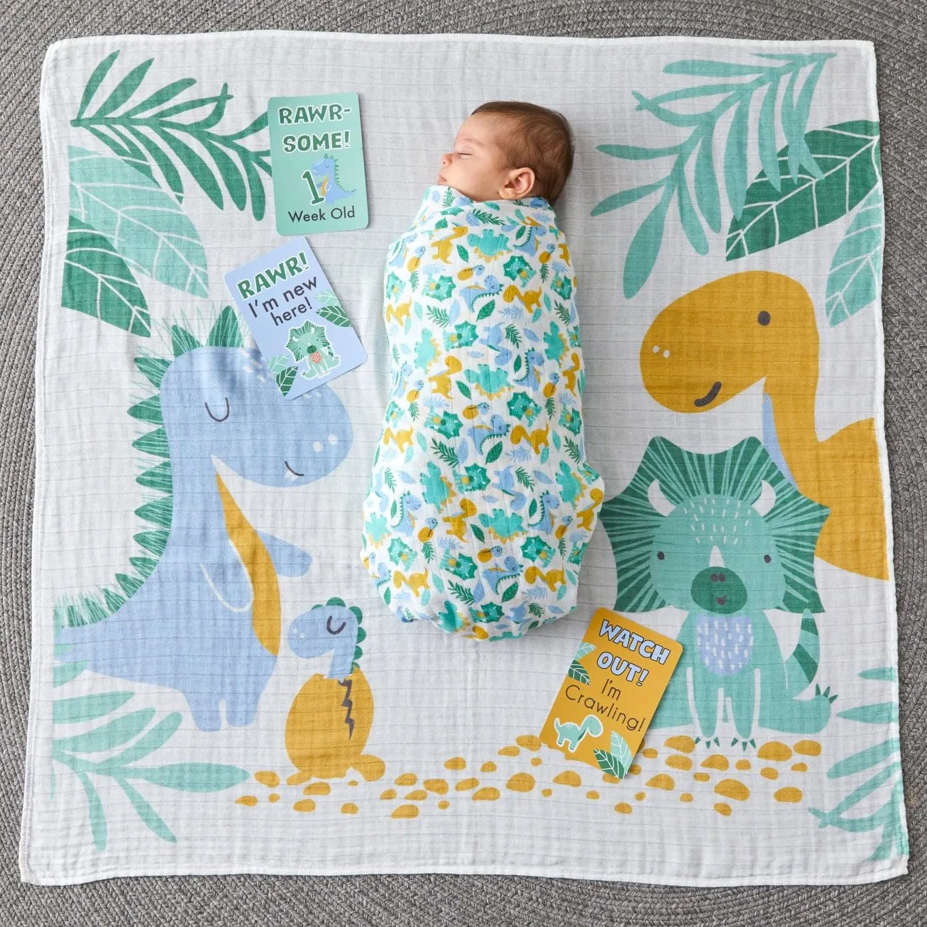 Jiggle & Giggle - Milestone Muslin Set Dinosaurs