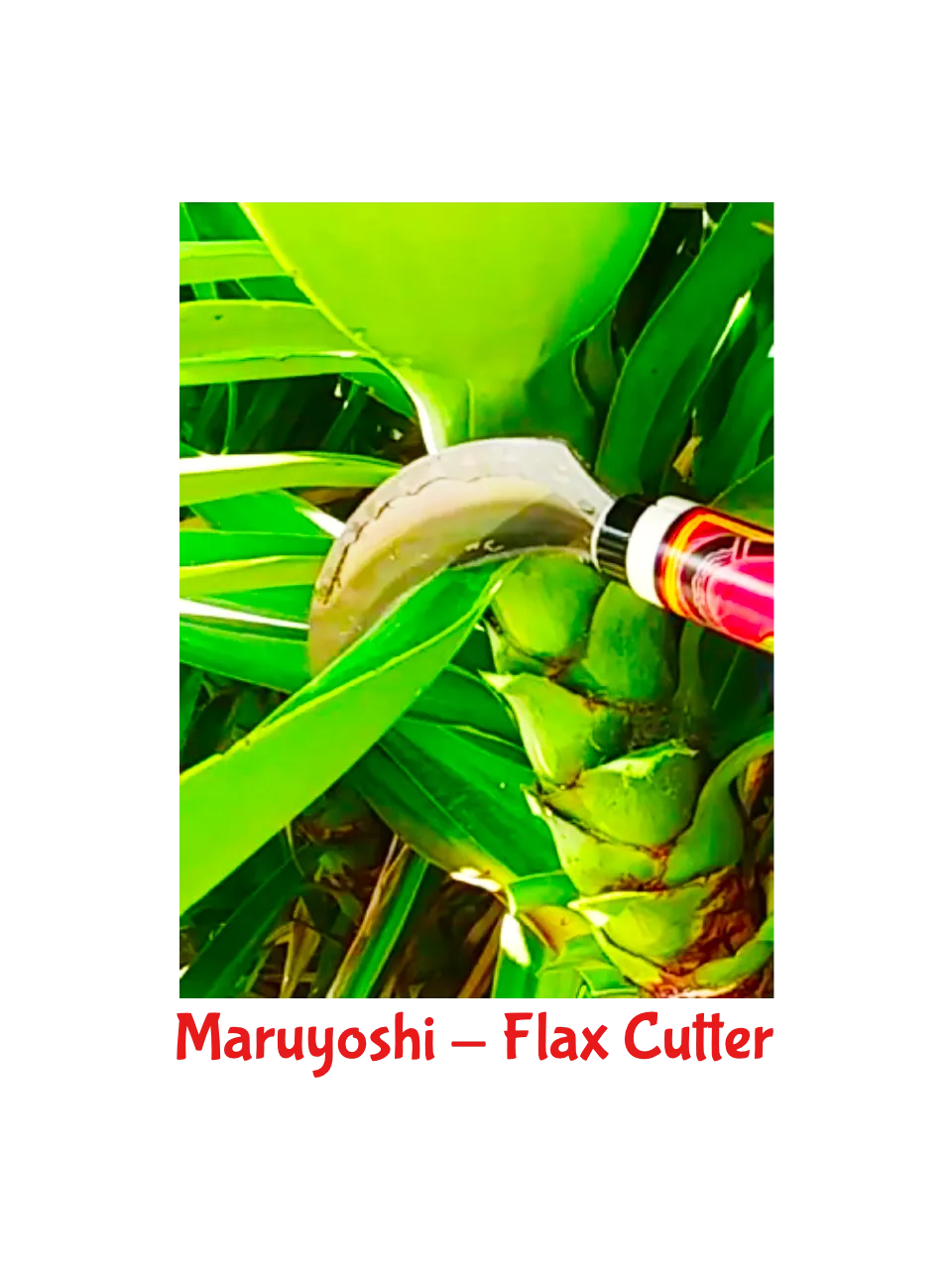 Maruyoshi - Flax Cutter