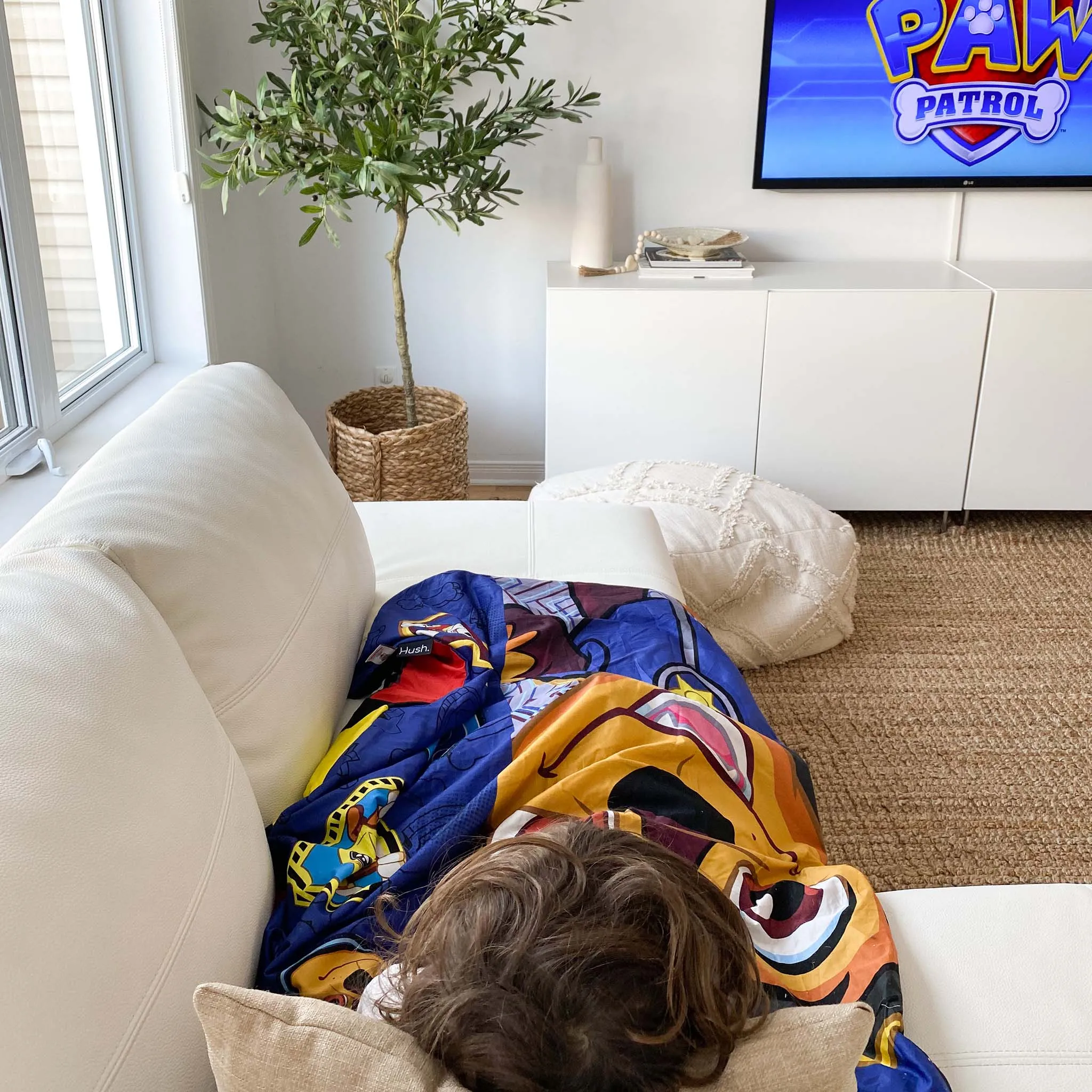 Paw Patrol Kids Weighted Blanket